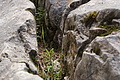 DSC08105 - Bernhard Saalfeld