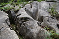 DSC08106 - Bernhard Saalfeld