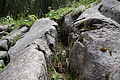 DSC08107 - Bernhard Saalfeld