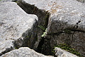 DSC08108 - Bernhard Saalfeld
