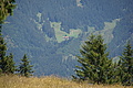 DSC08131 - Bernhard Saalfeld