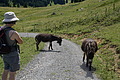 DSC08133 - Bernhard Saalfeld
