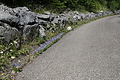 DSC08137 - Bernhard Saalfeld