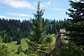 DSC08138 - Bernhard Saalfeld