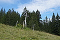 DSC08141 - Bernhard Saalfeld