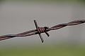 DSC08145 - Bernhard Saalfeld
