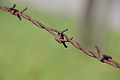 DSC08146 - Bernhard Saalfeld