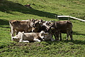 DSC08149 - Bernhard Saalfeld