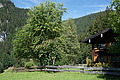 DSC08163 - Bernhard Saalfeld