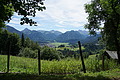DSC08181 - Bernhard Saalfeld