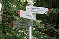 DSC08183 - Bernhard Saalfeld
