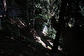 DSC08184 - Bernhard Saalfeld
