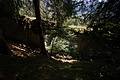 DSC08185 - Bernhard Saalfeld