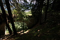DSC08186 - Bernhard Saalfeld