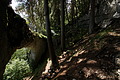 DSC08188 - Bernhard Saalfeld