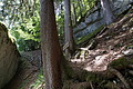 DSC08191 - Bernhard Saalfeld