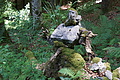 DSC08192 - Bernhard Saalfeld