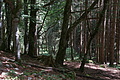 DSC08193 - Bernhard Saalfeld
