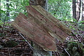 DSC08195 - Bernhard Saalfeld