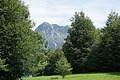 DSC08196 - Bernhard Saalfeld
