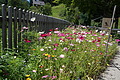 DSC08202 - Bernhard Saalfeld