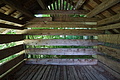 DSC08206 - Bernhard Saalfeld