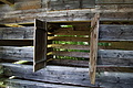 DSC08207 - Bernhard Saalfeld