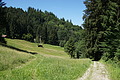 DSC08209 - Bernhard Saalfeld