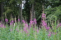 DSC08222 - Bernhard Saalfeld