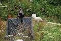 DSC08227 - Bernhard Saalfeld