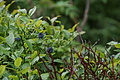 DSC08229 - Bernhard Saalfeld