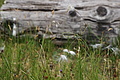 DSC08231 - Bernhard Saalfeld