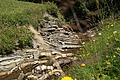 DSC08232 - Bernhard Saalfeld