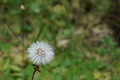 DSC08233 - Bernhard Saalfeld