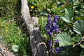 DSC08245 - Bernhard Saalfeld