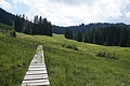 DSC08247 - Bernhard Saalfeld
