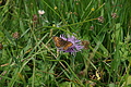 DSC08249 - Bernhard Saalfeld