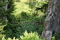 DSC08250 - Bernhard Saalfeld