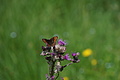 DSC08251 - Bernhard Saalfeld