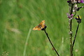 DSC08252 - Bernhard Saalfeld