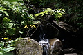 DSC08254 - Bernhard Saalfeld