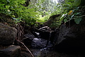 DSC08256 - Bernhard Saalfeld