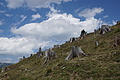 DSC08258 - Bernhard Saalfeld