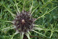 DSC08261 - Bernhard Saalfeld