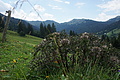 DSC08262 - Bernhard Saalfeld
