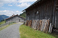 DSC08263 - Bernhard Saalfeld