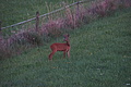 DSC08271 - Bernhard Saalfeld