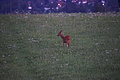 DSC08274 - Bernhard Saalfeld