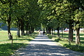 DSC08276 - Bernhard Saalfeld