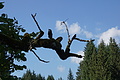 DSC08278 - Bernhard Saalfeld